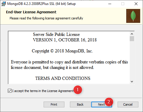 mongodb windows 10 download